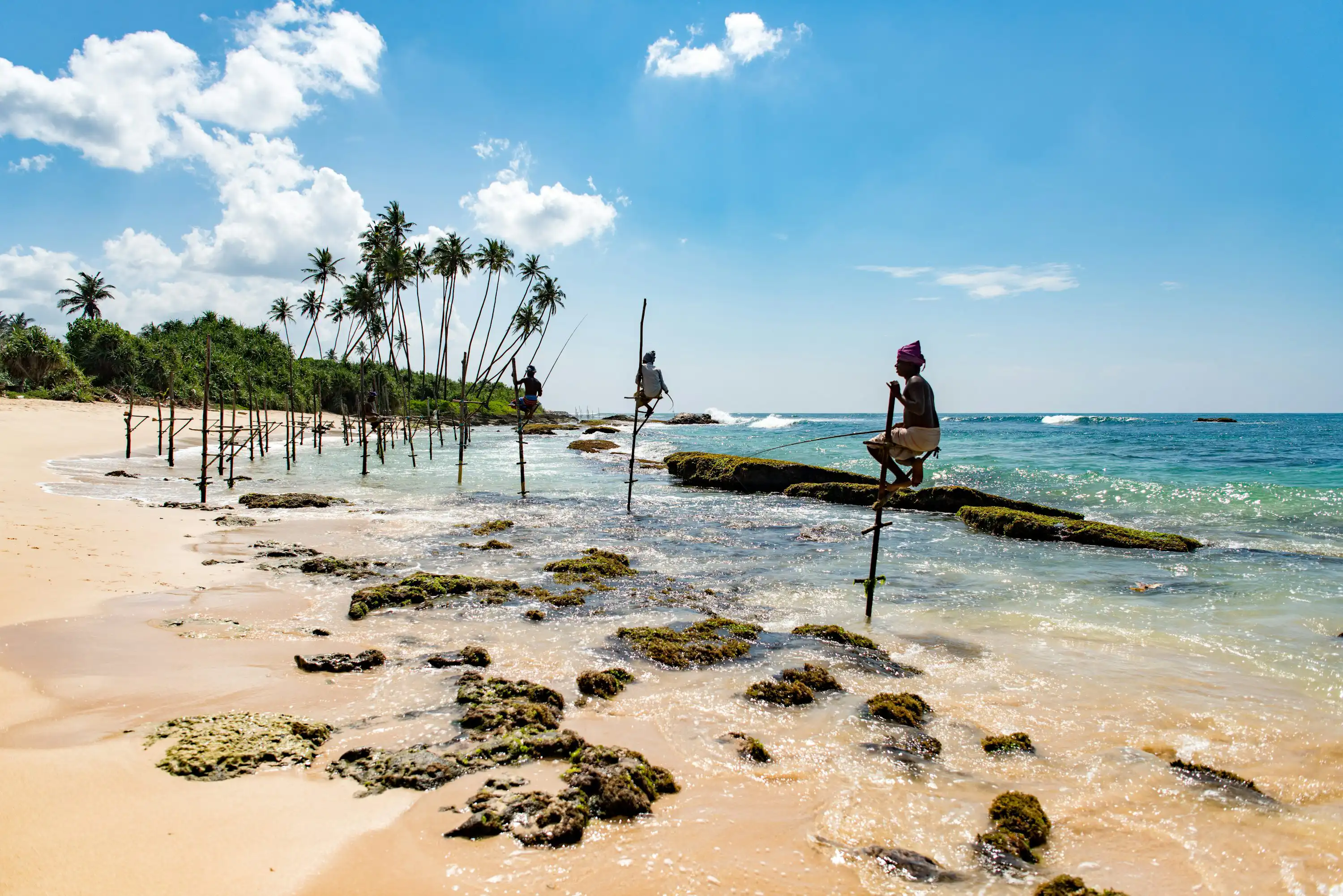 Mirissa Beach, Sri Lanka - Explore with Skylinkss