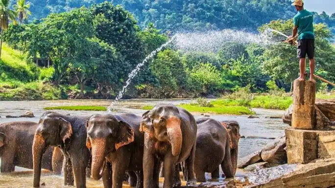 03 Nights 04 Days Sri Lanka Tour