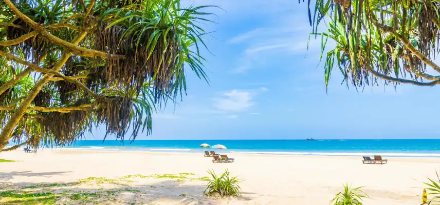 09 Nights 10 Days Sri Lanka Tour - Sri Lanka Travel Experience