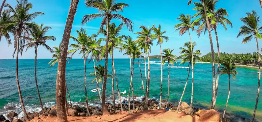08 Nights 09 Days Sri Lanka Classic Tour - Cultural, Hills & Beach - Sri Lanka Travel Experience