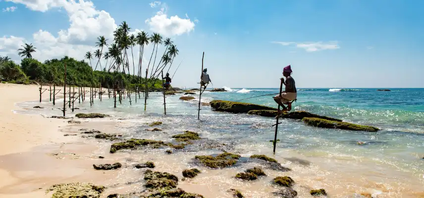 08 Nights 09 Days Sri Lanka Classic Tour - Cultural, Hills & Beach - Sri Lanka Travel Experience