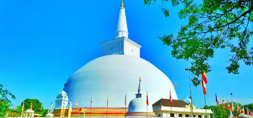 7 Nights 8 Days Classic Sri Lanka Tour Itinerary - Sri Lanka Travel Experience